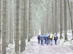 alpenhaus_group-hike